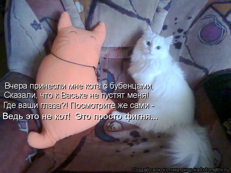 Котоматрица: Вчера принесли мне кота с бубенцами, Сказали, что к Ваське не пустят меня! Где ваши глаза?! Посмотрите же сами - Ведь это не кот!  Это просто фи