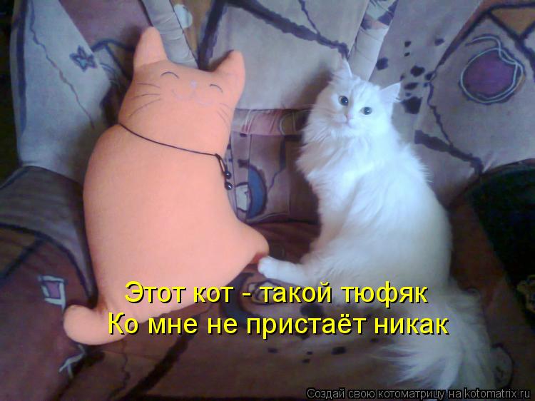 Этот кот - такой тюфяк Ко мне не пристаёт никак... Котоматрица: Этот кот - такой тюфяк Ко мне не пристаёт никак