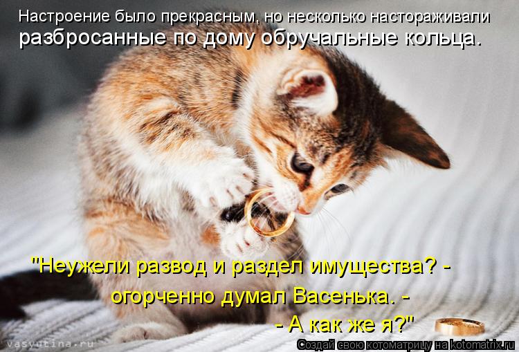 Котоматрица: Настроение было прекрасным, но несколько настораживали разбросанные по дому обручальные кольца. "Неужели развод и раздел имущества? -  огор