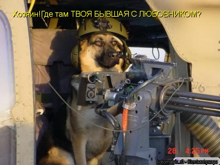 Котоматрица: Хозяин!Где там ТВОЯ БЫВШАЯ С ЛЮБОВНИКОМ?