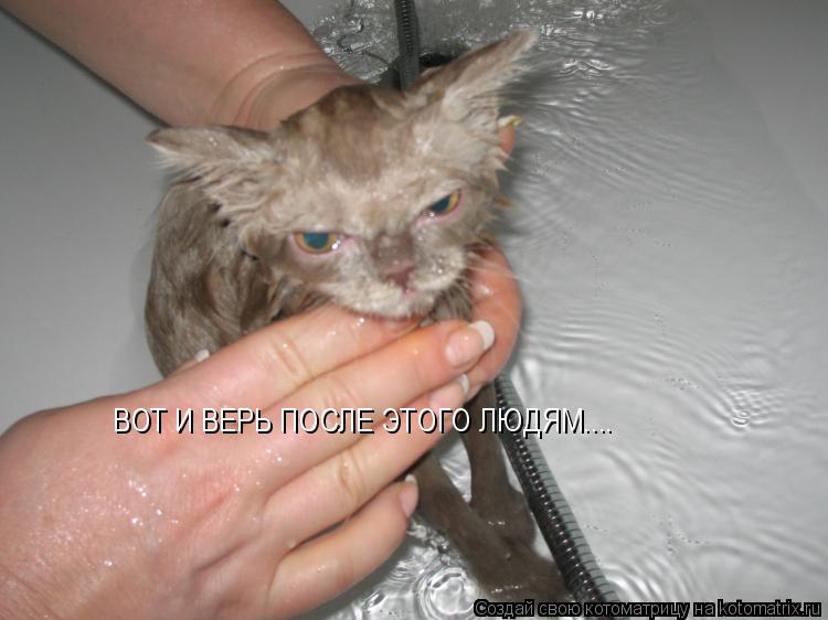 Котоматрица: ВОТ И ВЕРЬ ПОСЛЕ ЭТОГО ЛЮДЯМ....