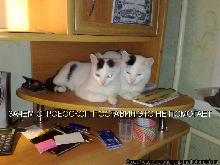 Котоматрица: ЗАЧЕМ СТРОБОСКОП ПОСТАВИЛ,ЭТО УЖЕ ДАВНО НЕ ПОМОГАЕТ ЗАЧЕМ СТРОБОСКОП ПОСТАВИЛ,ЭТО НЕ ПОМОГАЕТ