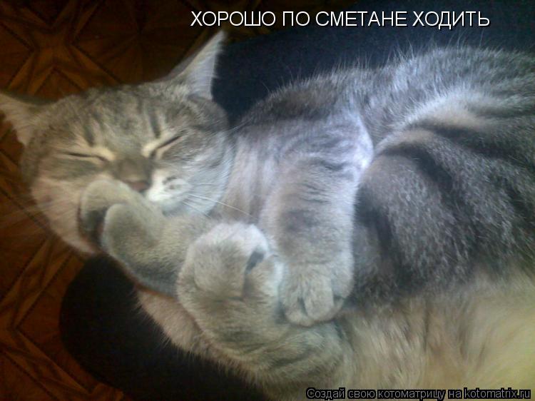 Котоматрица: ХОРОШО ПО СМЕТАНЕ ХОДИТЬ
