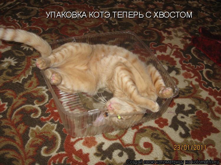 Котоматрица: УПАКОВКА КОТЭ,ТЕПЕРЬ С ХВОСТОМ