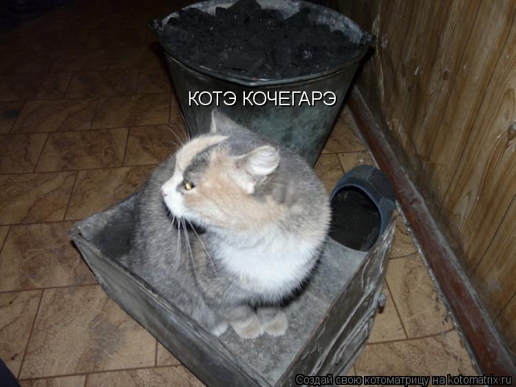 Котоматрица: КОТЭ КОЧЕГАРЭ
