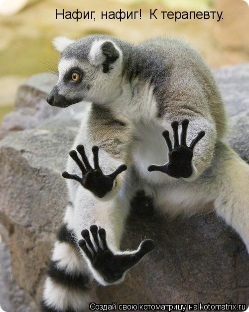 Котоматрица: Нафиг, нафиг!  К терапевту.