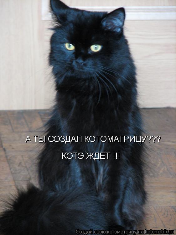 Котоматрица: А ТЫ СОЗДАЛ КОТОМАТРИЦУ??? КОТЭ ЖДЕТ !!!