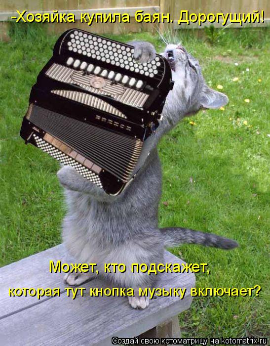 Котоматрица: -Хозяйка купила баян. Дорогущий! Может, кто подскажет,  которая тут кнопка музыку включает?