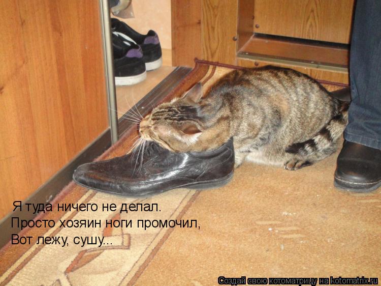 Котоматрица: Я туда ничего не делал. Просто хозяин ноги промочил, Вот лежу, сушу...