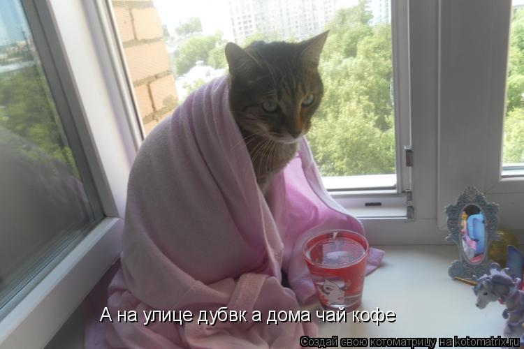 Котоматрица: А на улице дубвк а дома чай кофе