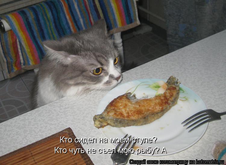 Котоматрица: Кто сидел на моем стуле? Кто чуть не съел мою рыбу? А