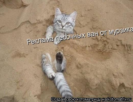 Котоматрица: Реклама песочных ван от мурзика