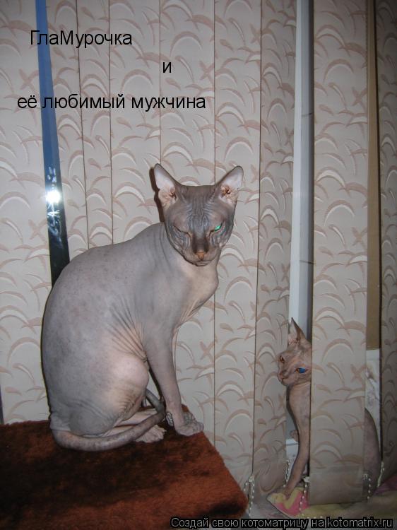Котоматрица: ГлаМурочка и её любимый мужчина