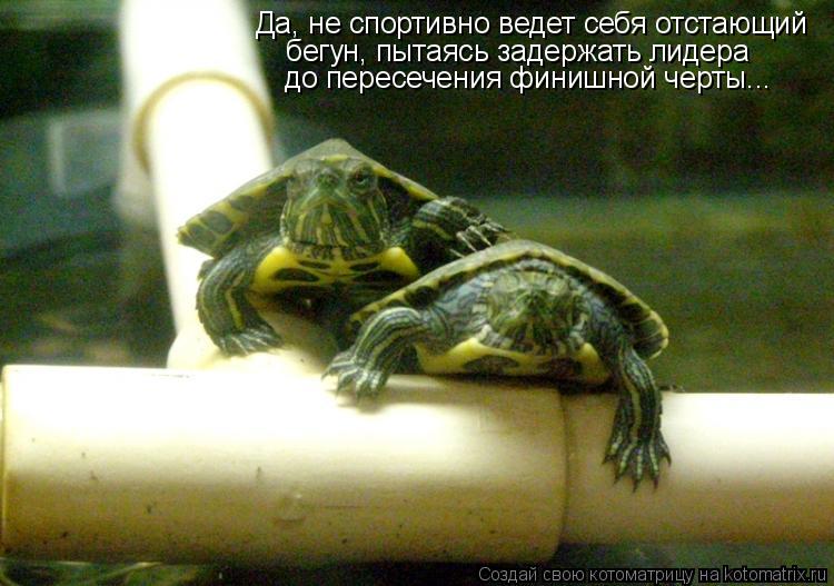 Котоматрица: Да, не спортивно ведет себя отстающий бегун, пытаясь задержать лидера до пересечения финишной черты...