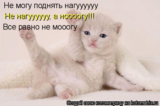 Котоматрица: Не могу поднять нагуууууу Не нагуууууу, а ноооогу!!! Все равно не мооогу