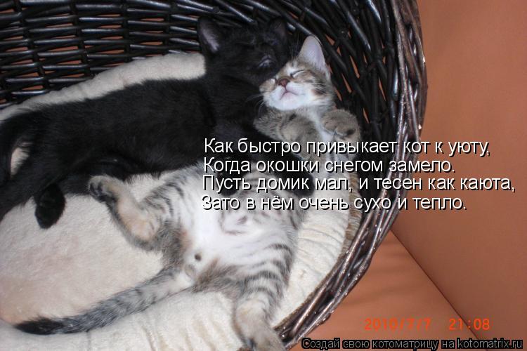 Котоматрица: Как быстро привыкает кот к уюту, Когда окошки снегом замело. Пусть домик мал, и тесен как каюта, Зато в нём очень сухо и тепло.