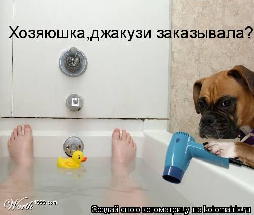 Котоматрица: Хозяюшка,джакузи заказывала?