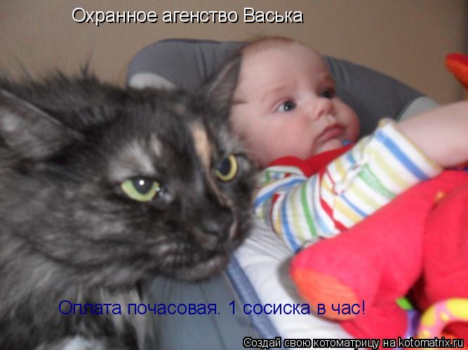 Котоматрица: Охранное агенство Васька Оплата почасовая. 1 сосиска в час!