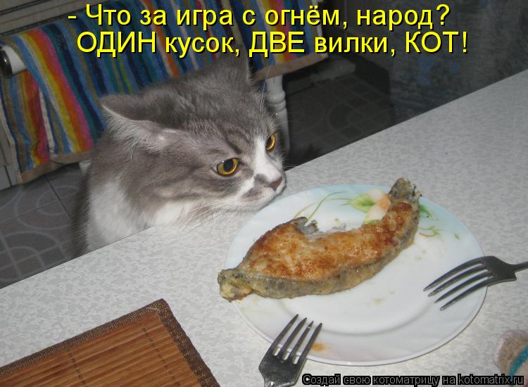 Котоматрица: - Что за игра с огнём, народ? ОДИН кусок, ДВЕ вилки, КОТ!