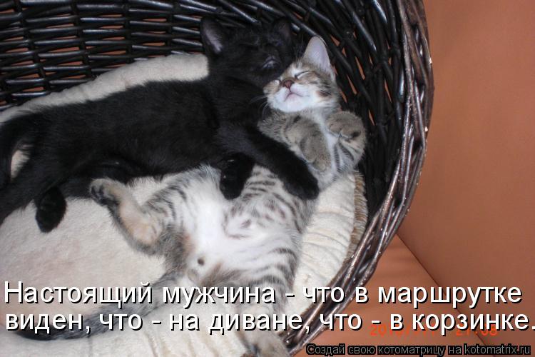 Котоматрица: Настоящий мужчина - что в маршрутке виден, что - на диване, что - в корзинке...