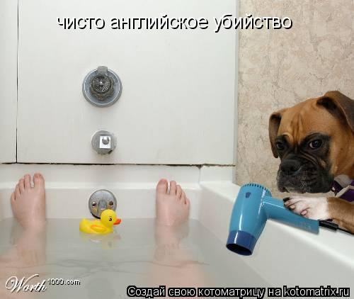 Котоматрица: чисто английское убийство