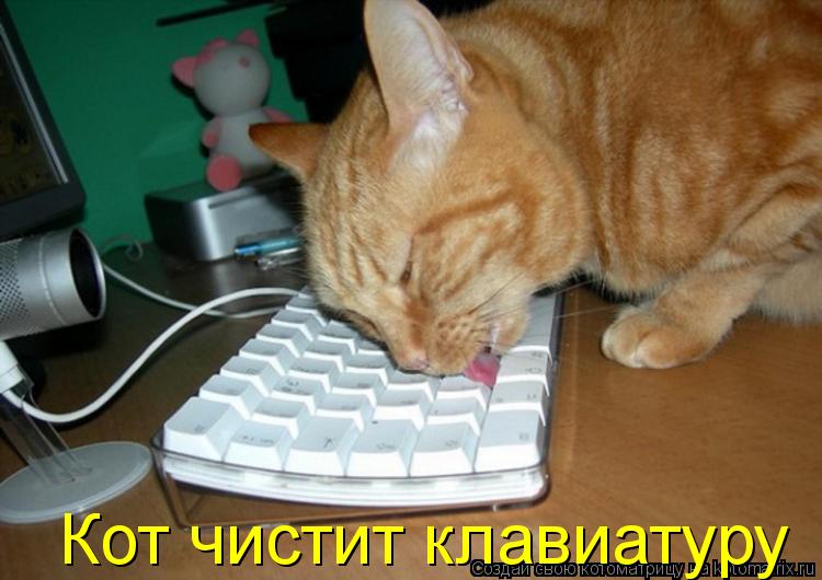 Котоматрица: Кот чистит клавиатуру Кот чистит клавиатуру