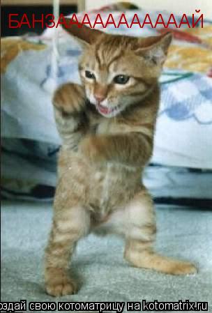 Котоматрица: БАНЗАААААААААААЙ