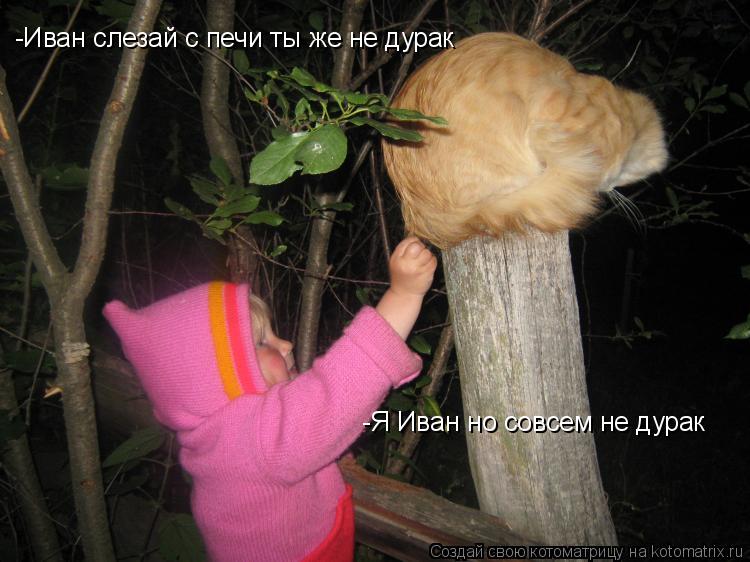 Котоматрица: -Иван слезай с печи ты же не дурак -Я Иван но совсем не дурак
