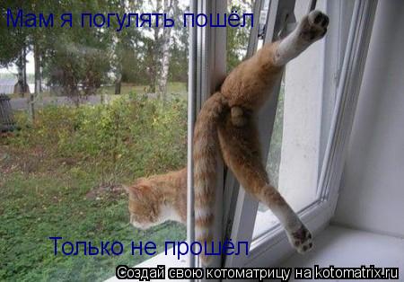 Котоматрица: Мам я погулять пошёл Только не прошёл