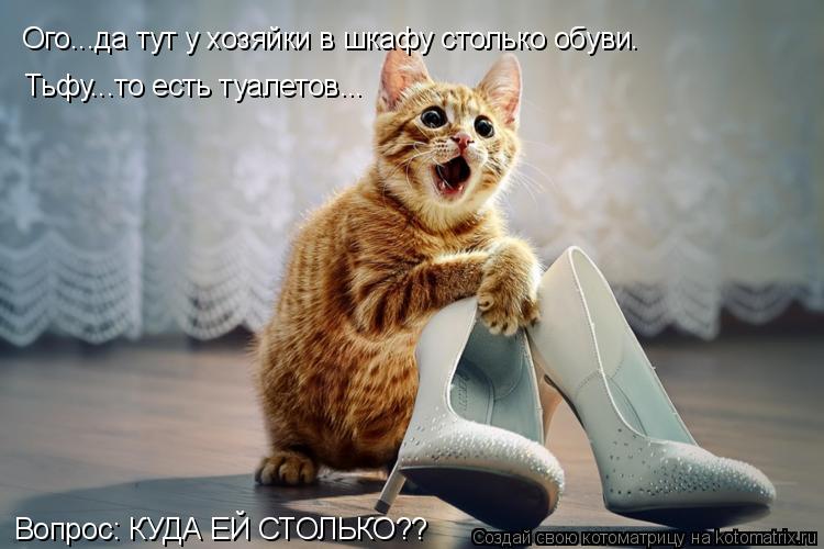 Котоматрица: Ого...да тут у хозяйки в шкафу столько обуви. Тьфу...то есть туалетов... Вопрос: КУДА ЕЙ СТОЛЬКО??