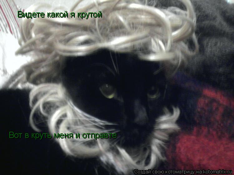 Котоматрица: Видете какой я крутой  Вот в круть меня и отправте