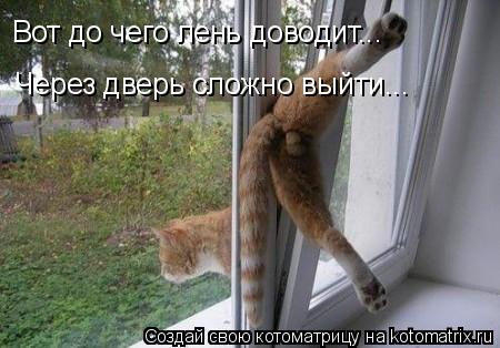 Котоматрица: Вот до чего лень доводит... Через дверь сложно выйти...