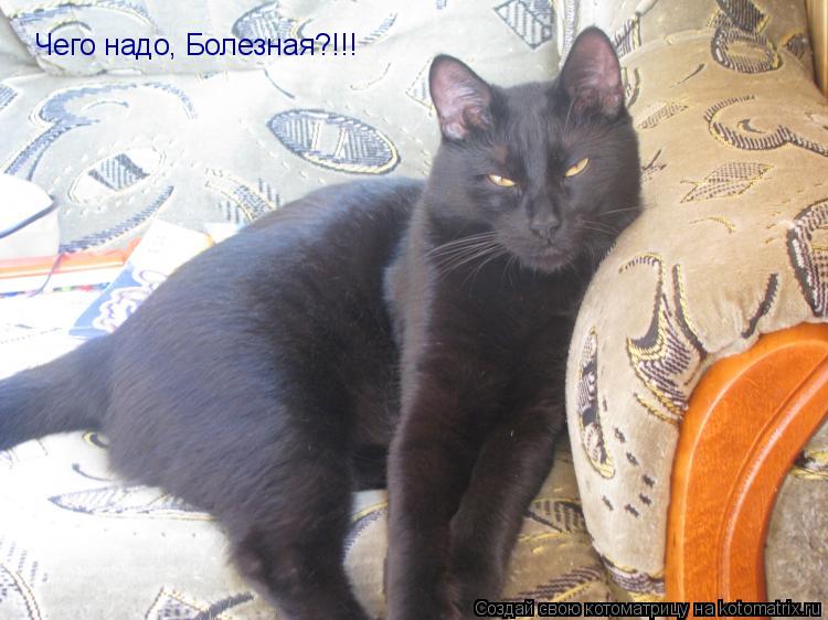 Котоматрица: Чего надо, Болезная?!!!
