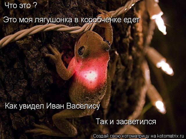 Котоматрица: Что это  Это моя лягушонка в коробчёнке едет Как увидел Иван Васелису Так и засветился ?