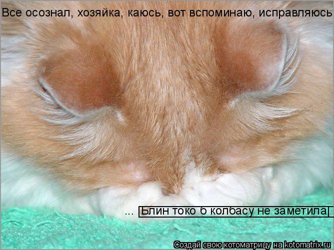 Котоматрица: Все осознал, хозяйка, каюсь, вот вспоминаю, исправляюсь ... |Блин токо б колбасу не заметила| _____________________________ __________________________
