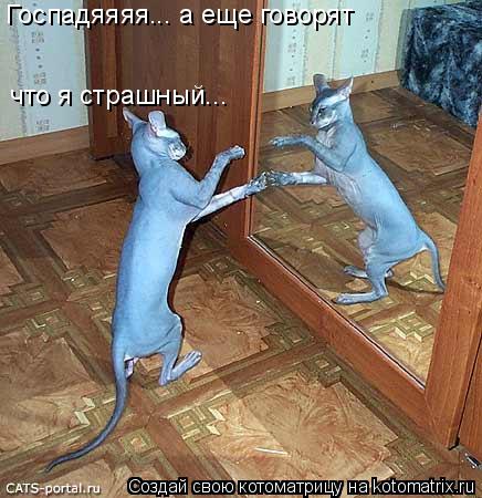 Котоматрица: Госпадяяяя... а еще говорят  что я страшный...