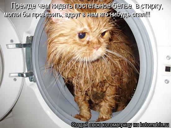 Котоматрица: Прежде чем кидать постельное белье в стирку, могли бы проверить, вдруг в нем кто нибудь спал!!!
