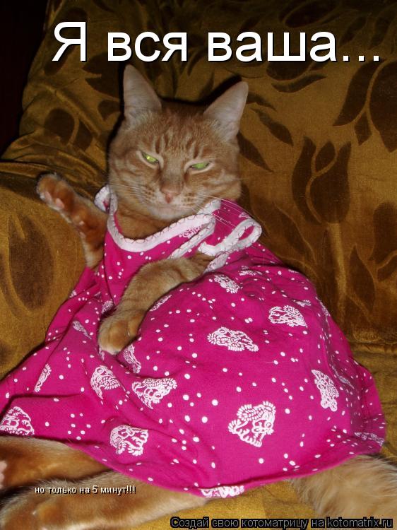 Котоматрица: Я вся ваша... но только на 5 минут!!!