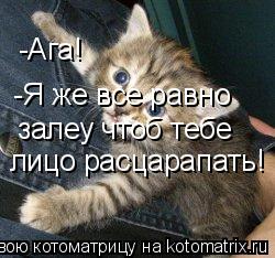Котоматрица: -Ага! -Я же все равно залеу чтоб тебе  лицо расцарапать!