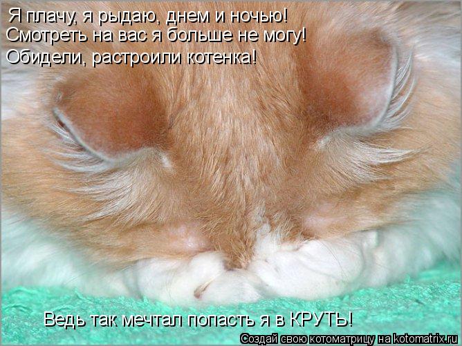Котоматрица: Я плачу, я рыдаю, днем и ночью! Обидели, растроили котенка! Смотреть на вас я больше не могу! Ведь так мечтал попасть я в КРУТЬ!