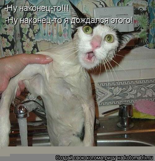 Котоматрица: -Ну наконец-то!!!  -Ну наконец-то я дождался этого!