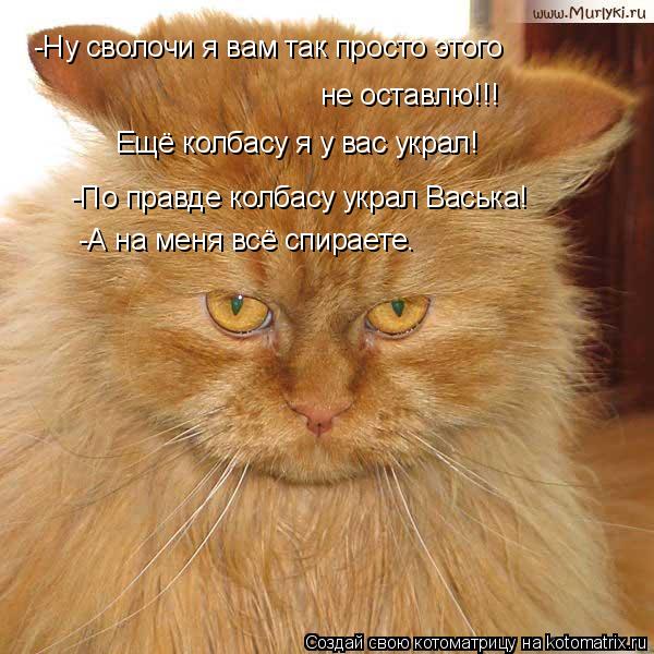 Котоматрица: -Ну сволочи я вам так просто этого  не оставлю!!! Ещё колбасу я у вас украл! -По правде колбасу украл Васька! -А на меня всё спираете.