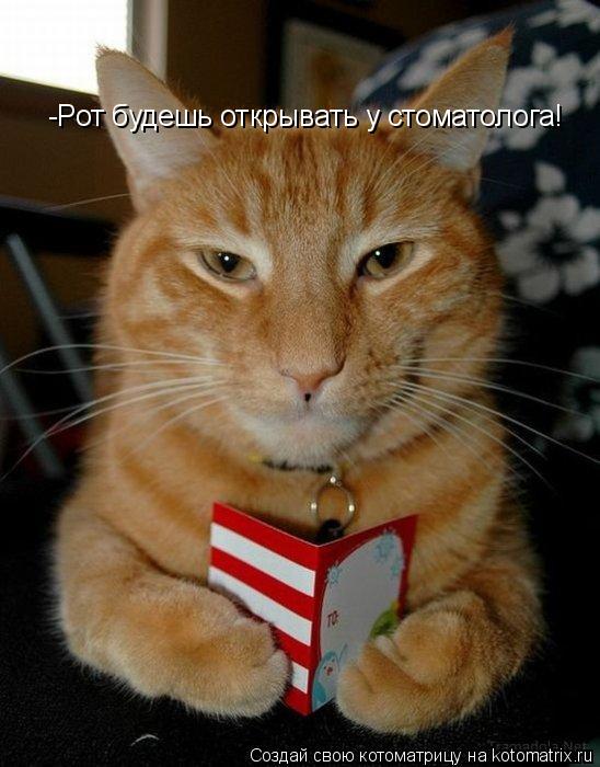 Котоматрица: -Рот будешь открывать у стоматолога!