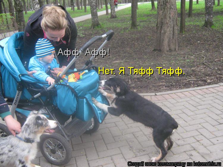 Котоматрица: Афф  Афф! Нет. Я Тяфф Тяфф.