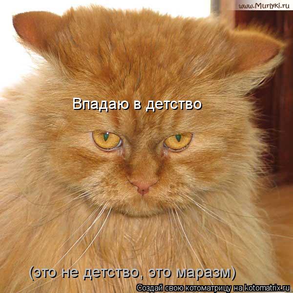 Котоматрица: Впадаю в детство (это не детство, это маразм)