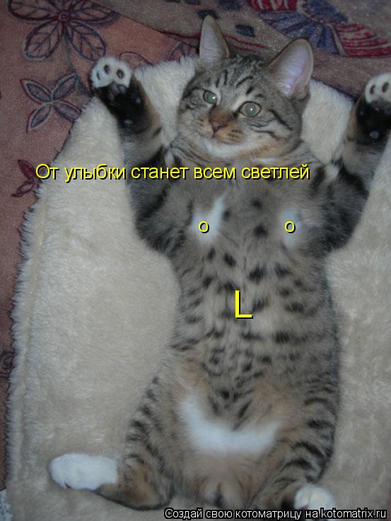 Котоматрица: От улыбки станет всем светлей о о L