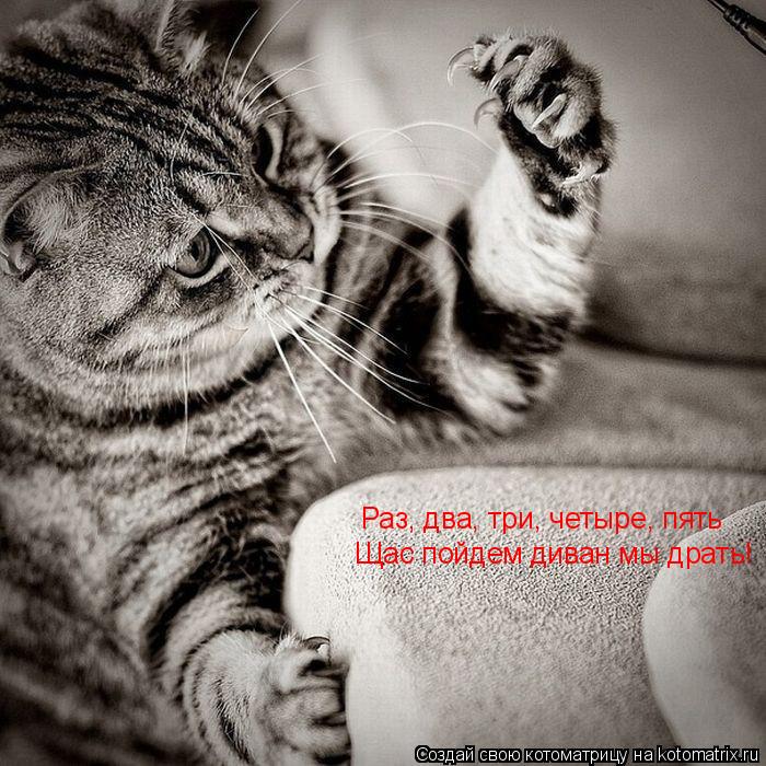 Котоматрица: Раз, два, три, четыре, пять Щас пойдем диван мы драть!