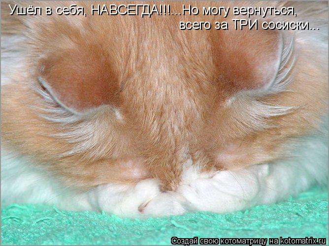 Котоматрица: Ушёл в себя, НАВСЕГДА!!!...Но могу вернуться, всего за ТРИ сосиски...