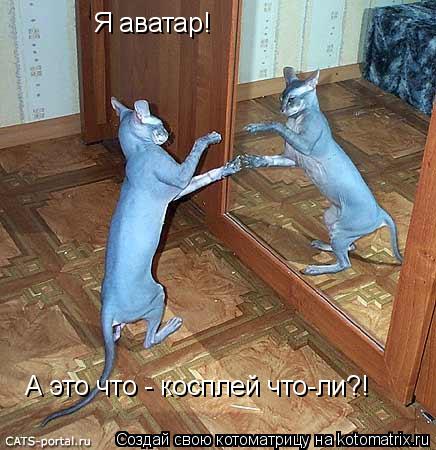 Котоматрица: Я аватар! А это что - косплей что-ли?!