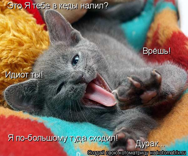 Котоматрица: Это Я тебе в кеды налил? Врёшь! Я по-большому туда сходил! Идиот ты! Дурак...